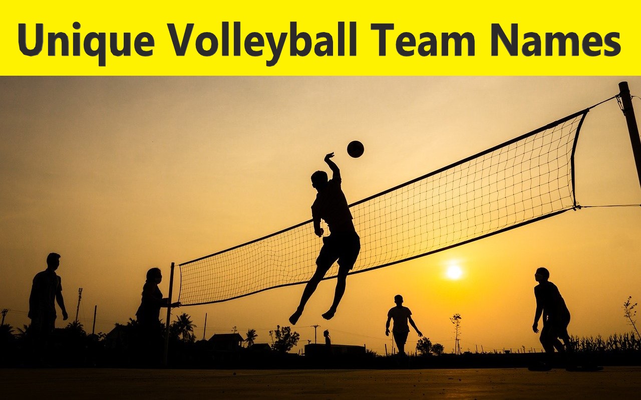 Volleyball Team Names